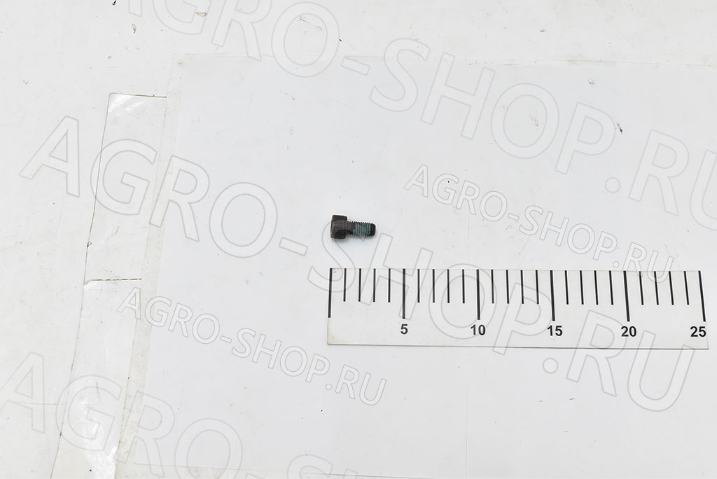 Болт 10098 М10х20 крепления подшипника суппорта  Шумахер