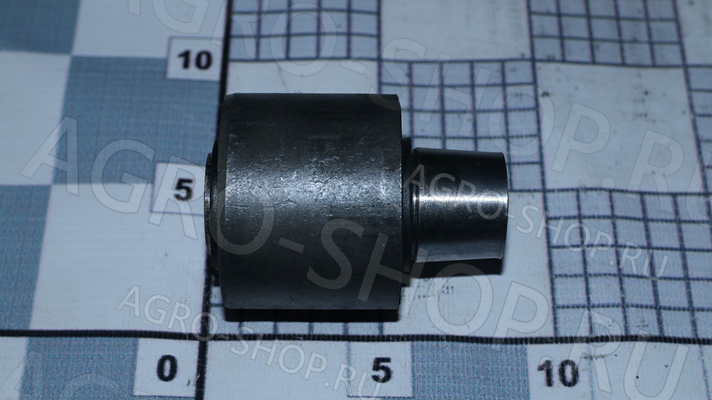 Порно әйелдер жігітті байлады