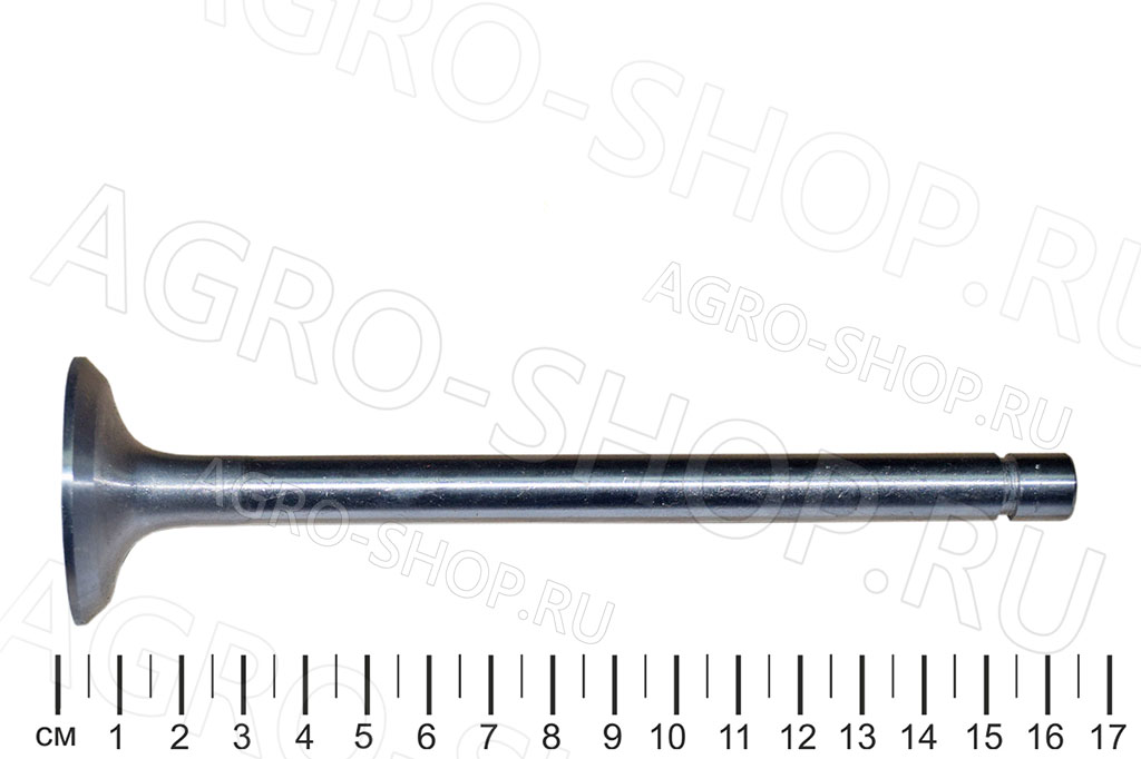 Клапан 240-1007015 выпускной (малый) Д-243/245/260 (К)