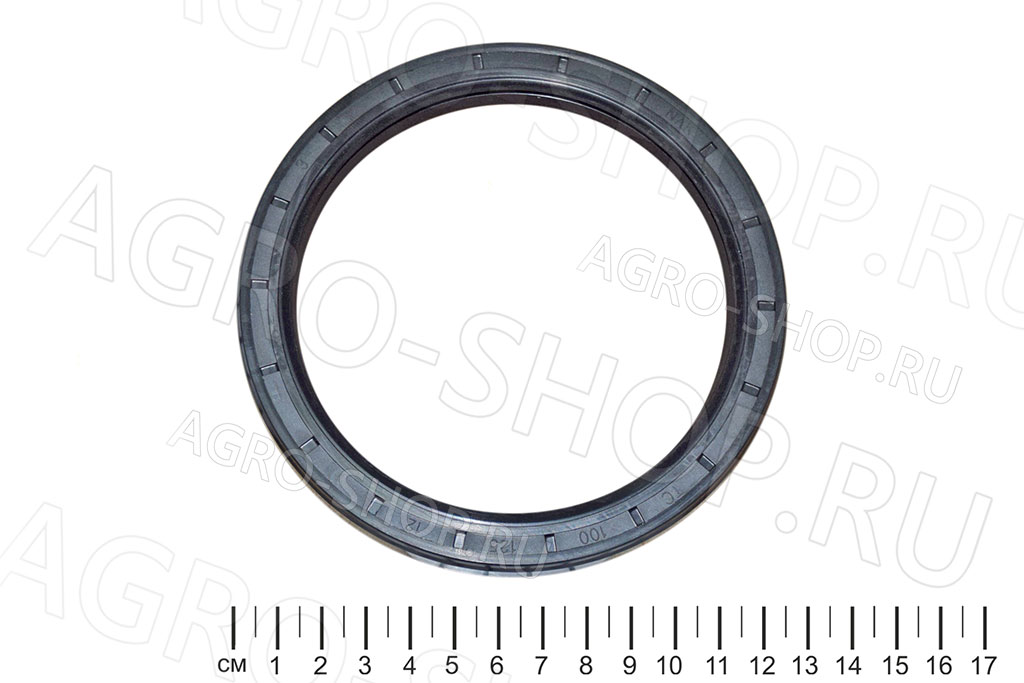 Сальник 100х125х12 TC 