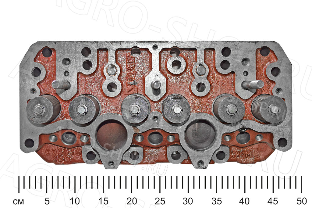 Головка 260-1003012 в сборе Д-260 (ММЗ)