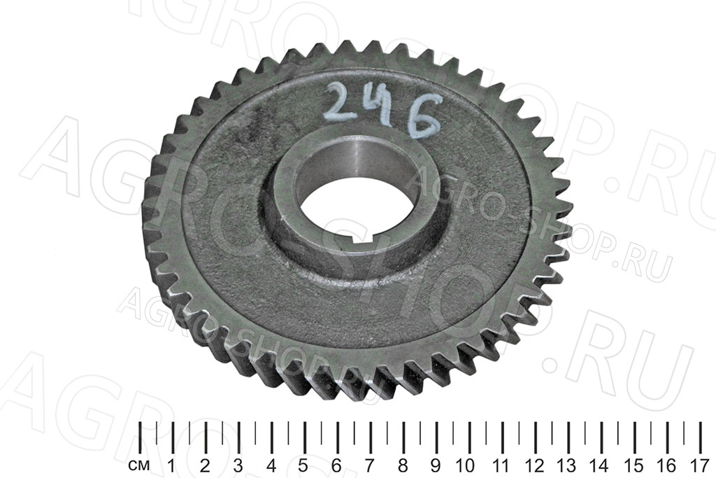 Шестерня 50-1005033-А привода масляного насоса зуб=46 Д-245 Евро-3,4 (ММЗ)