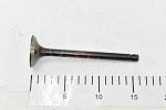 Клапан 240-1007014 впускной (большой) Д-243/245 (Луганск)