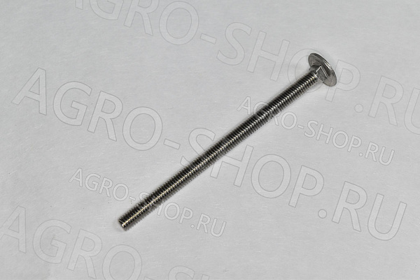 Болт 6х100 полукруглая головка квадратный подголовник стандартный (нержавейка) Шаг 1,0 ГОСТ 603  