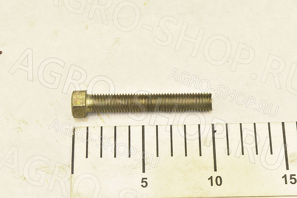 Болт КИС 0600609  КСК-100, КСК-600 