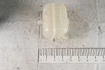 Бачок 2705-1311010-10 расширительный без датчика с кроншт. ОС, Газель-Бизнес Cummins 2.8, УМЗ-274 