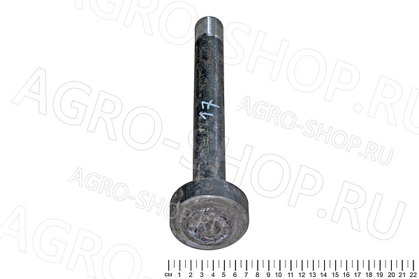 Ось 85.31.016А центральная с крышкой ДТ-75 