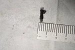 Форсунка CRTR0100580 / 4216.1132010 топливная (под Микас 12.3) Газель-Бизнес, УМЗ-4216 Евро-4 CARTRONIC