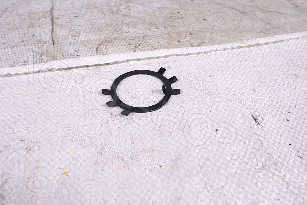 Шайба М39 / 39.01.019  НАШ-873 