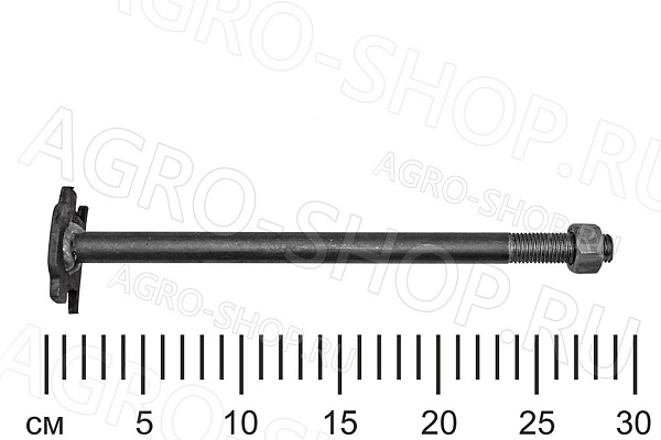 Болт анкерный  с гайкой ТСН 
