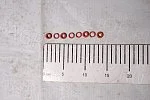 Кольцо 42164-2904072 + 406-1004122 / 21121 упл. форс. 8шт(узк+широк) фторсиликон Газель-Бизнес, УМЗ-4216 Евро-4 ROSTECO