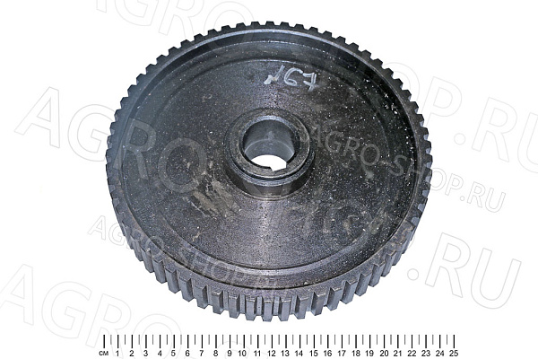 Колесо храповое КТУ 50.6005 под шпонку (z=60; d=40 мм) КТУ-10 