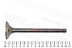 Клапан 240-1007014 впускной (большой) Д-243/245 (Луганск)
