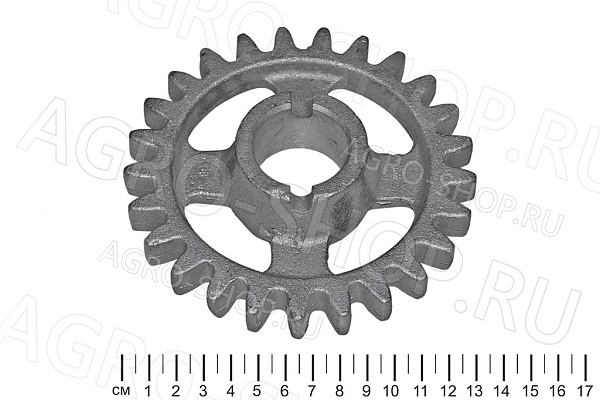 Шестерня СКП 01.06.012А / СЗШ 06.101 z=25 СЗС-2,1, СКП-2,1 (Бийск) 