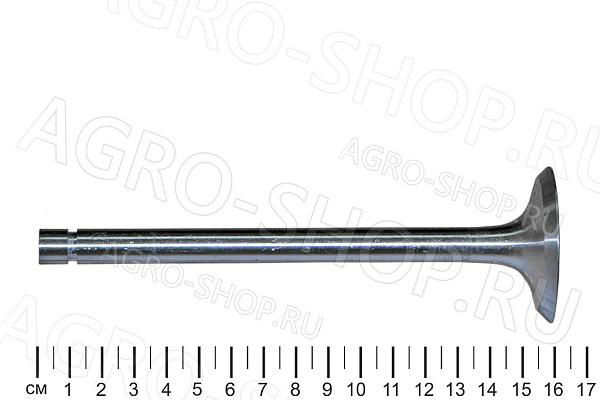Клапан 260-1007014-А1 впускной (большой) Д-260 (Луганск)