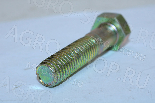 Болт 14х60 шестигранная головка стандартный ОЦ Шаг 2,0 ГОСТ 7798 кл.пр. 8,8 Беларусь