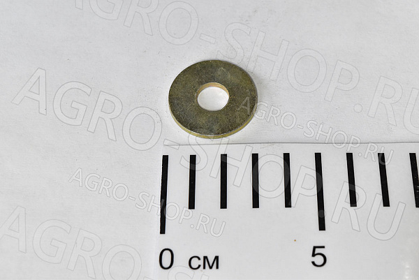Шайба 10 плоская увеличенная ОЦ ГОСТ 6958-70 Беларусь 