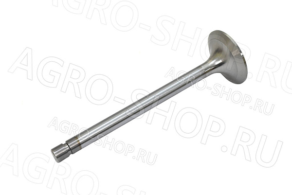 Клапан 260-1007014 впускной (большой) Д-260 (КМЗ)