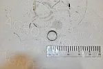Втулка КЗР 1924802  ПЗ-3,4 ГОМСЕЛЬМАШ