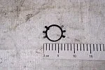Шайба 48 многолапчатая ГОСТ 11872-89