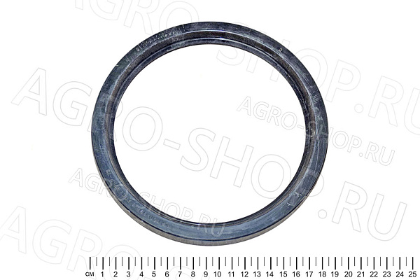 Сальник 160х190х15 1.2 ГОСТ 8752-79 