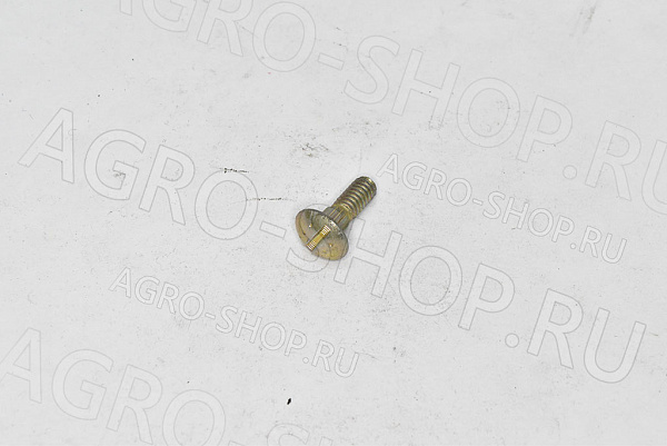 Болт 700721958 1/4-20х5/8 сегмента ЕА SP 115 / MF 9220 Challenger