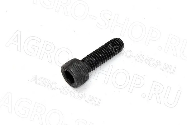Болт 30360R1 дросельной заслонки Detroid 