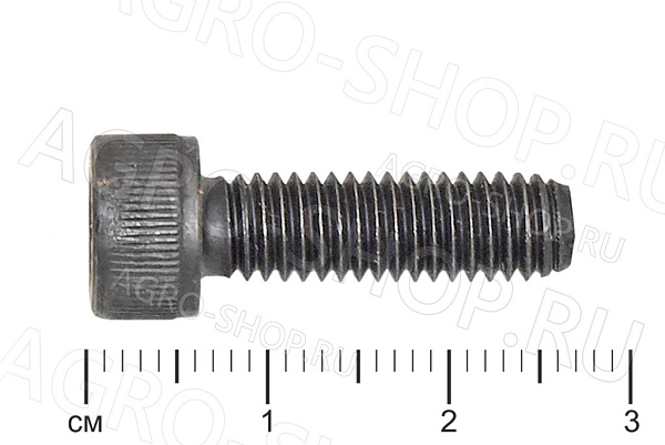 Болт 30360R1 дросельной заслонки Detroid 