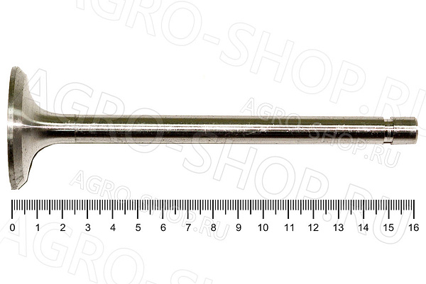 Клапан 240-1007014 впускной (большой) Д-243/245 (К)
