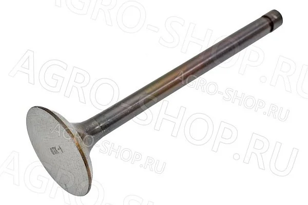 Клапан 240-1007014 впускной (большой) Д-243/245 (Луганск)