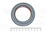 Сальник 53-1005032-01 (55х80) коленвала красный ГАЗ-53,3307,24 ЗМЗ