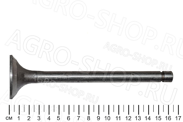 Клапан 240-1007015 выпускной (малый) Д-243/245/260 ()