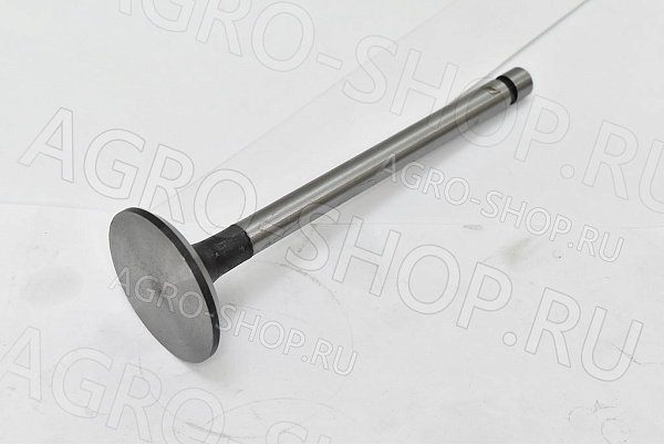 Клапан 240-1007014 впускной (большой) Д-243/245 (Master Part)