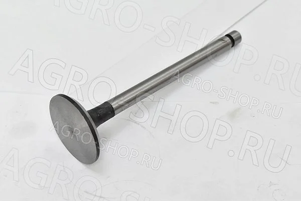 Клапан 240-1007014 впускной (большой) Д-243/245 (Master Part)