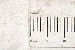 Винт 4х16 самонарезающий с полукруглой головкой, оцинкованный DIN 7516A 