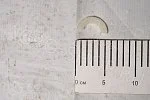 Фланец 406-1006052-02 упорный распредвала ЗМЗ-405,406,409 