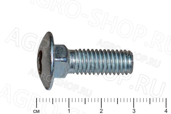 Болт 8х25 полукруглая головка квадратный подголовник стандартный Шаг 1,25 ГОСТ 7802 кл.пр. 5,8 