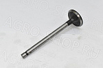 Клапан 240-1007014 впускной (большой) Д-243/245 (Master Part)