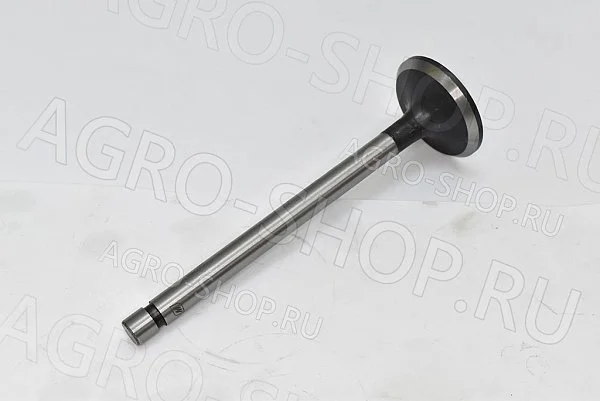 Клапан 240-1007014 впускной (большой) Д-243/245 (Master Part)