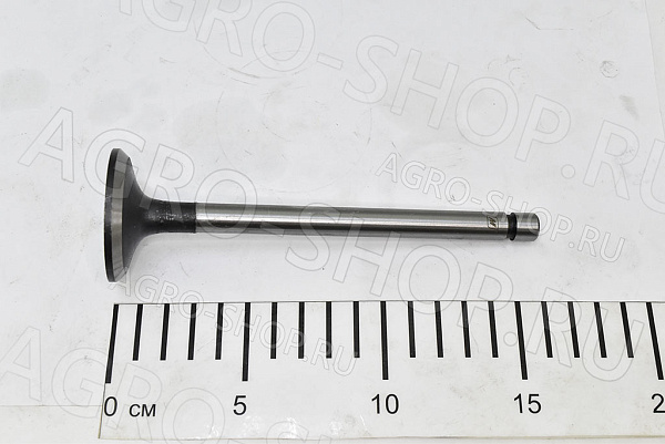 Клапан 240-1007014 впускной (большой) Д-243/245 (Master Part)