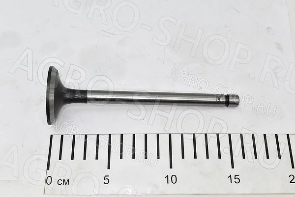 Клапан 240-1007014 впускной (большой) Д-243/245 (Master Part)