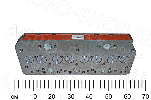 Головка 245-1003012 блока в сборе Д-245 (ММЗ)