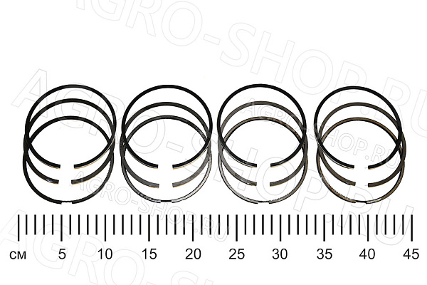 Кольца поршневые ДМ.421-1000100-10Р1 (100,5мм) (4п/к) ЗМЗ-4104, УМЗ-421 ГАЗ