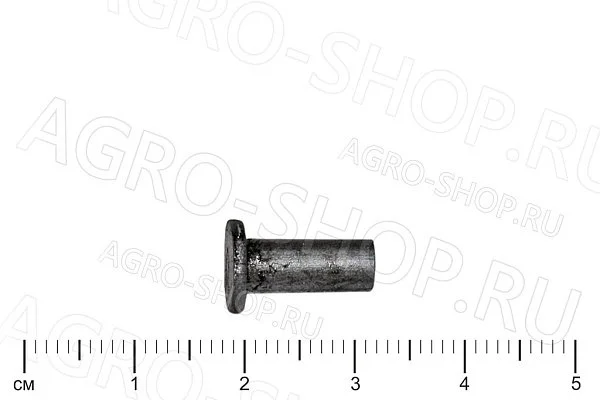 Заклепка 5х12 плоская головка ГОСТ 10303-80 (Р)
