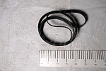 Ремень 8РК2166 (5312821) агрегатов Газель NEXT, Cummins 2.8 FOTON