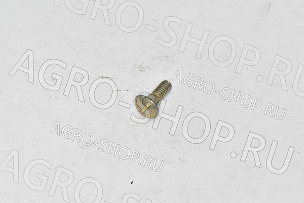 Болт 700721958 1/4-20х5/8 сегмента ЕА SP 115 / MF 9220 Challenger