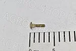 Болт 700721960 1/4 X 1 сегмента длинный SP 115 / MF 9220 