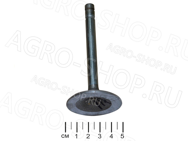 Клапан 13-1007010-22 впускной (две проточки) ГАЗ-53,3307,66 ЗМЗ