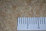 Фильтр 120003.00 отсечного устройства (пластик) опрыскиватель ОП/ОС 