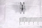 Звездочка ТПФ 45.05.302Г ведущая транспортера ТПФ-45 Сельмаш Сызрань
